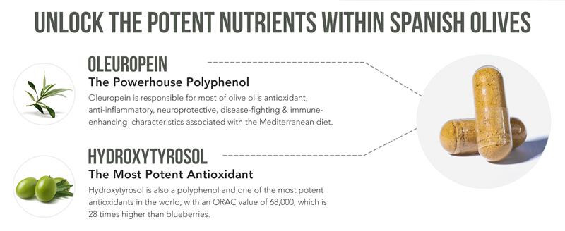 Triquetra Health Total Olive (Olive Leaf Extract + Olive Fruit Extract) Healthcare Oil