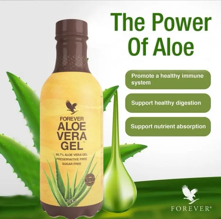 organic aloe vera gel Aloe Vera Gel One Gallon Pure Organic Alcohol-Free, Soothing – dmsostore main image 0