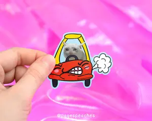 Page's Peaches Crying Cat Sticker decal Matte Decorative