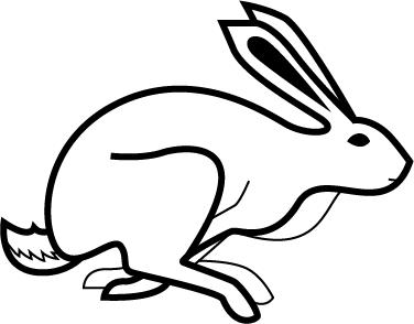 Static Nails Non-Damaging Brush-On Nail Glue | For Flawless Reusable Pop-On Manicures and Press-On Nails | Fast Drying, Easy Application, Strong Hold, Mess-Free viral