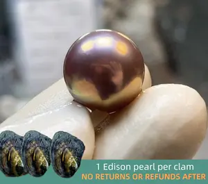 【Bryan】Supreme Edison (10-14mm Rare Color/Flawless Round Edison Pearl)｜Live Opening 1 Edison pearl per clam Non-Refundable NO RETURNS OR REFUNDS AFTER