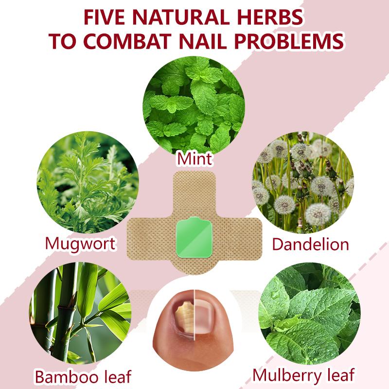 Lansiyi Nail Patches 21pcs/box with 5 Herbs for Nail Problem Care Matte Japanese Style Daily Care Nails Kit Set Lansiyi Nail Patches 21pcs/box with 5 Herbs for Nail Problem Care Matte Japanese Style Daily Care Nails Kit Set