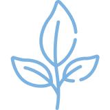 Replenish™ Conditioner – Hydrate & Grow