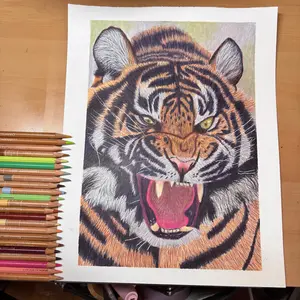 Roaring Tiger | Original Colored Pencil Drawing