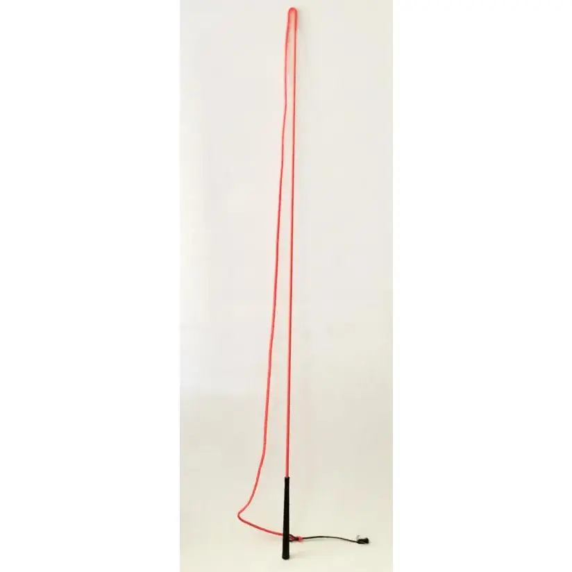 Whip Lunge 65", 73" Drop, 10" Popper