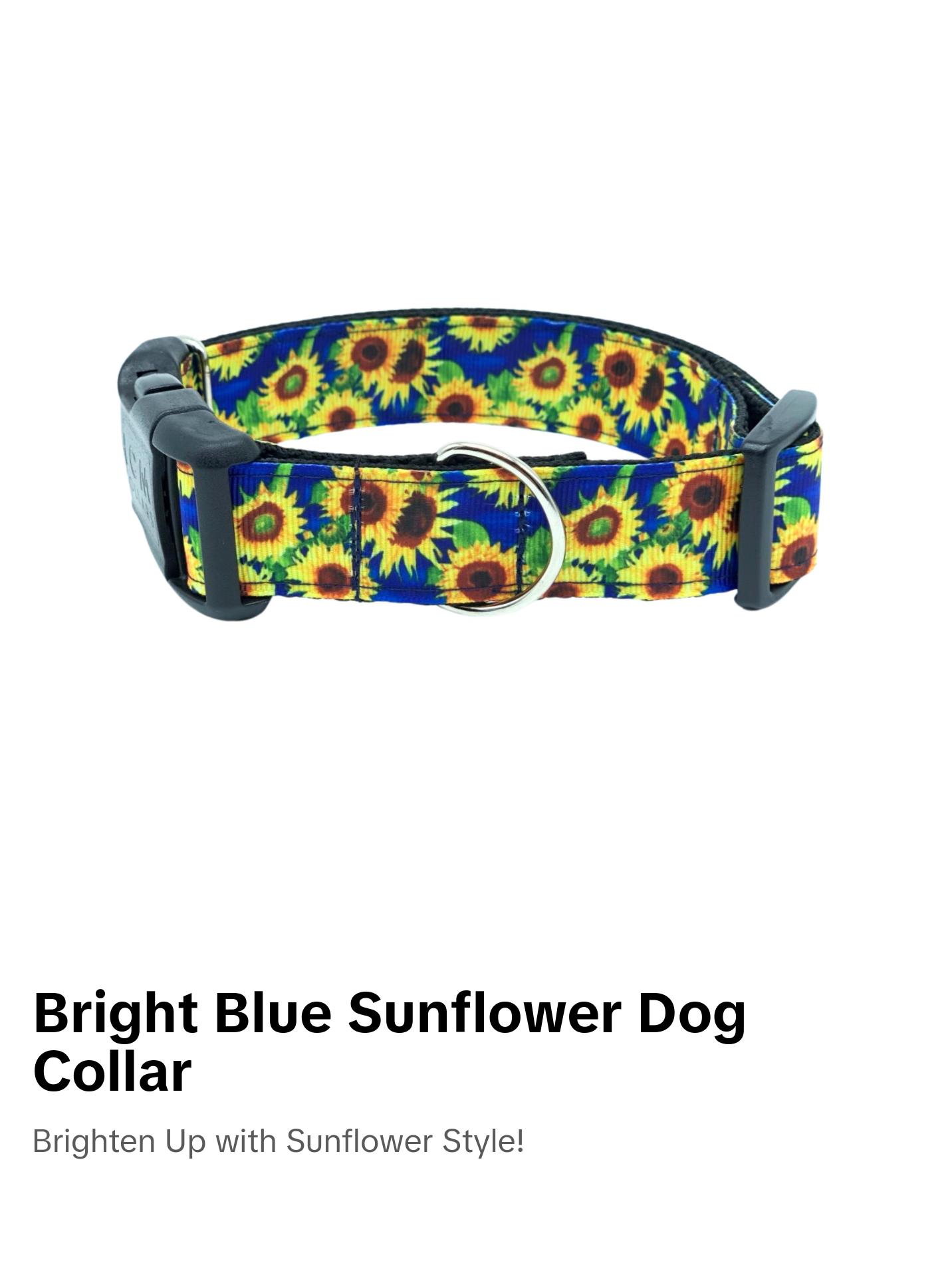 Bright Blue Sunflower Dog Collar