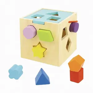 Montessori Shape Sorter