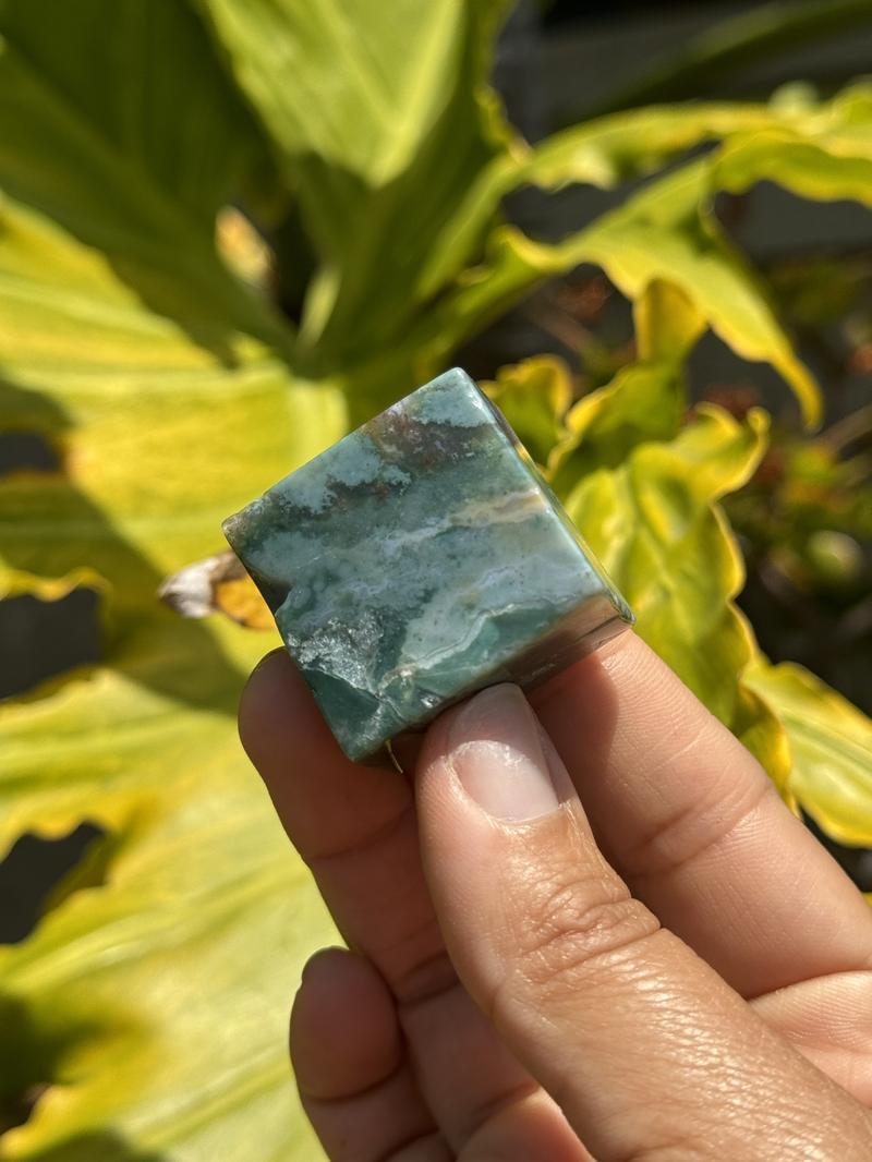 Moss Agate Crystal Free Forms