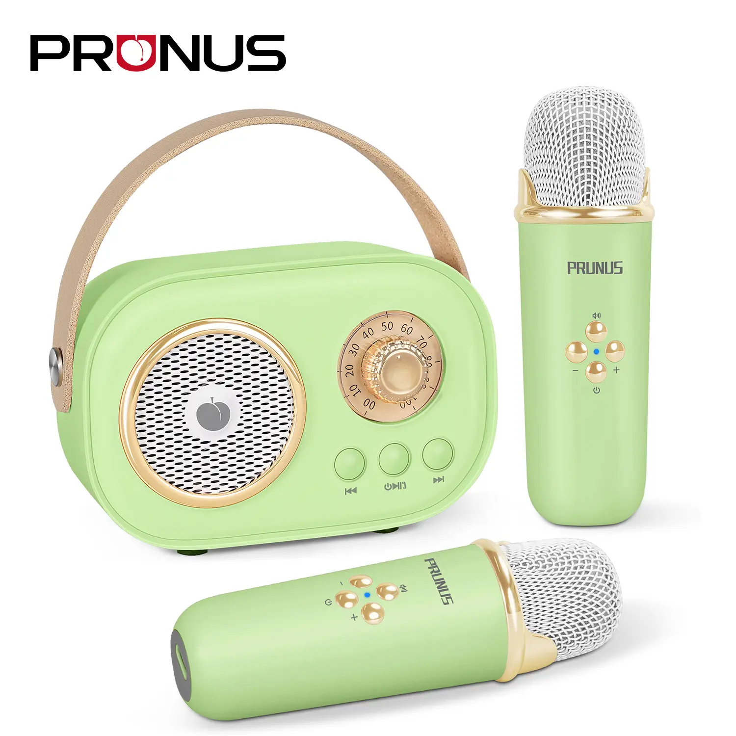 PRUNUS C20 Mini Karaoke Machine Portable Bluetooth Speaker with Wireless Microphone, 6 Sound Modes, Audio Stereo for Adults-Kids Birthday Party Gifts, Bluetooth Mini Speakers for Smartphone Music Gifts, Ktv