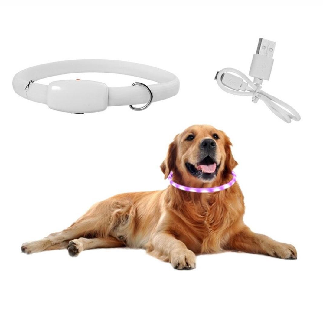 Night Safety Flashing Glow Pet Dog Collar