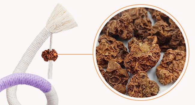 Cat Toys Chew Ropes 3Pcs with Refillable Natural Catnip, Safe Teeth Cleaning Toy for Indoor Kittens, Interactive Cat Nip Kitty Toys for All Breeds