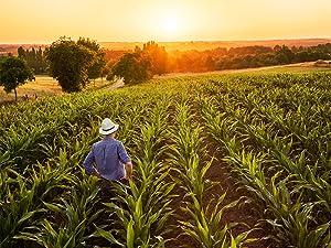 【FarmHaven】Magnesium Glycinate & Malate Complex with Vitamin D3, Supports Bone Health, Nerves, and Muscles, 60-Day Supply Dietary Supplement. Nutrition Healthcare