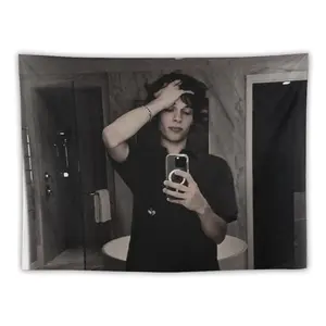 Chris Star Sturniolo Flag Wall Art Hanging,For Decorate Clubs Concerts Bars University Dormitories Living Rooms Bedrooms Decor Tapestry Chris_Star_Sturniolo Tapestry