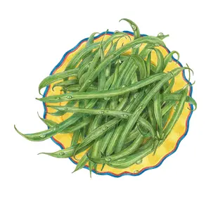French Filet Bush Bean Seeds
