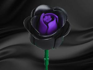 HOGOKIDS Flower Bouquet Building Set 330PCS Black Roses Botanical Plants, Decorative Ornaments, Magnetic Blocks for Home, Christmas, Birthday & Valentine’s Gift for Kids & Adults 8+ HOGOKIDS Flower Bouquet Building Set 330PCS Black Roses Botanical Plants, Decorative Ornaments, Magnetic Blocks for Home, Christmas, Birthday & Valentine’s Gift for Kids & Adults 8+