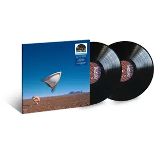 The Cranberries - Bury The Hatchet (The Complete Sessions)  [VINYL RECORD - LP]