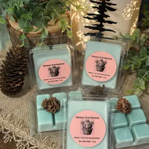 PRICKLY CACTUS & SANDALWOOD Wax Melts ~ 3 oz Clamshells, Soy, Clean Fragrance, Vegan, Highly Scented