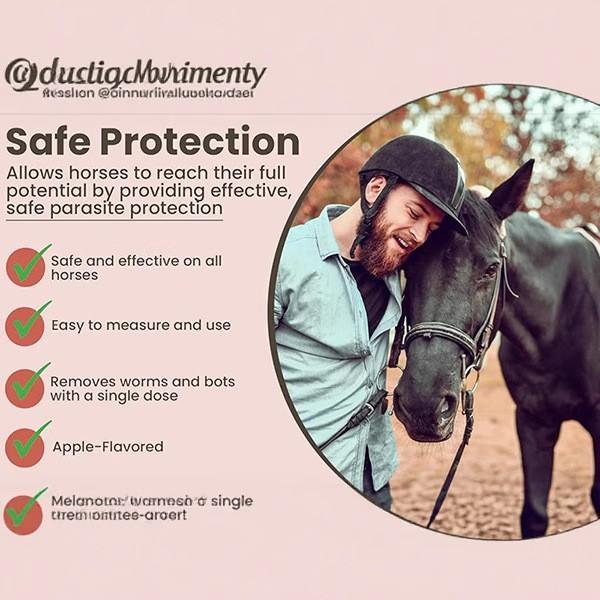 DURVETTTT, 6 boxes.  Contains plant extracts, gentle and non-irritating, apple flavored.  Used for equine bone and joint care. Natural and safe, suitable for daily use.