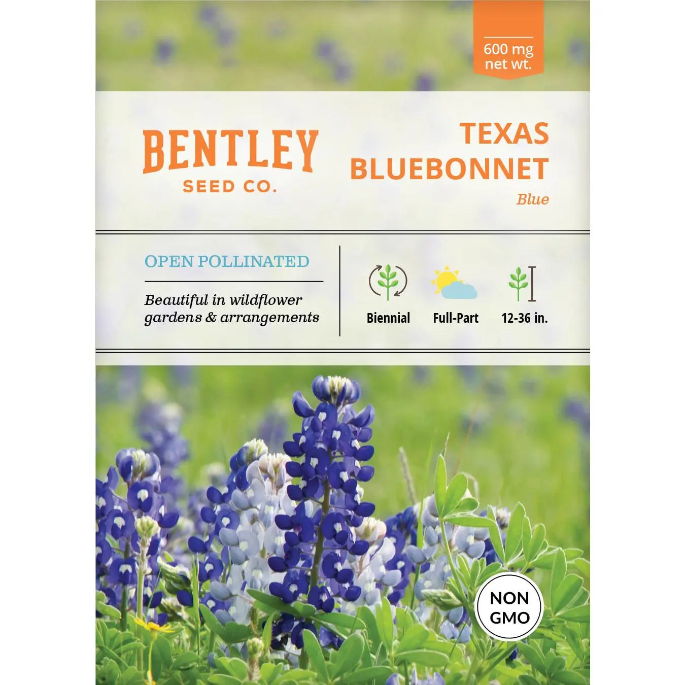 Texas Bluebonnet Biennial Flower Seeds Packets - 15-25 Seeds, Low Maintenance, Full Sun, 12-36 Inches, Outdoor Garden Supplies for Spring Arrangements