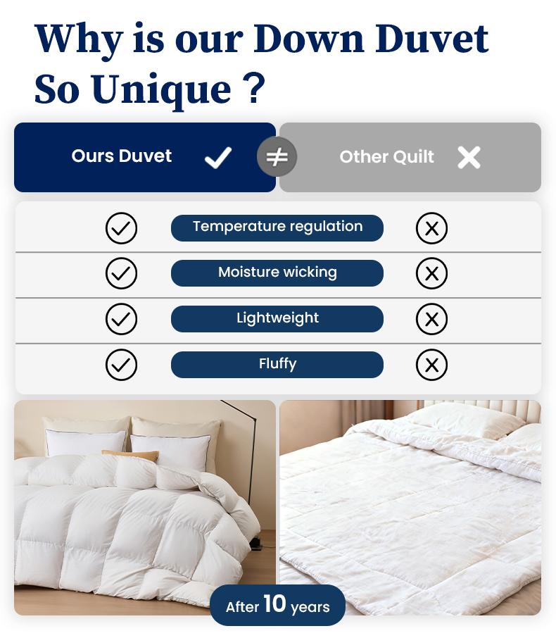 APSMILE Luxurious Goose Down Feather Comforter Duvet Insert Ultra Soft Fluffy Lightweight All Season Down Comforter Super Warmth Hotel Collection Bedding Sleeping Lightweight Cozy Blanket TikTokShopBlackFriday