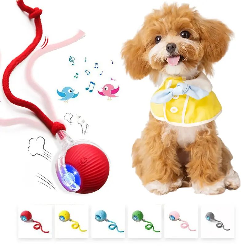 Fun Interactive Cat Dog Toy Ball, Motion Activated Bird Chirping Design, USB Rechargeable Self-Rolling Play Toy Perfect for Rug Use, Relieve Pet Separation Anxiety