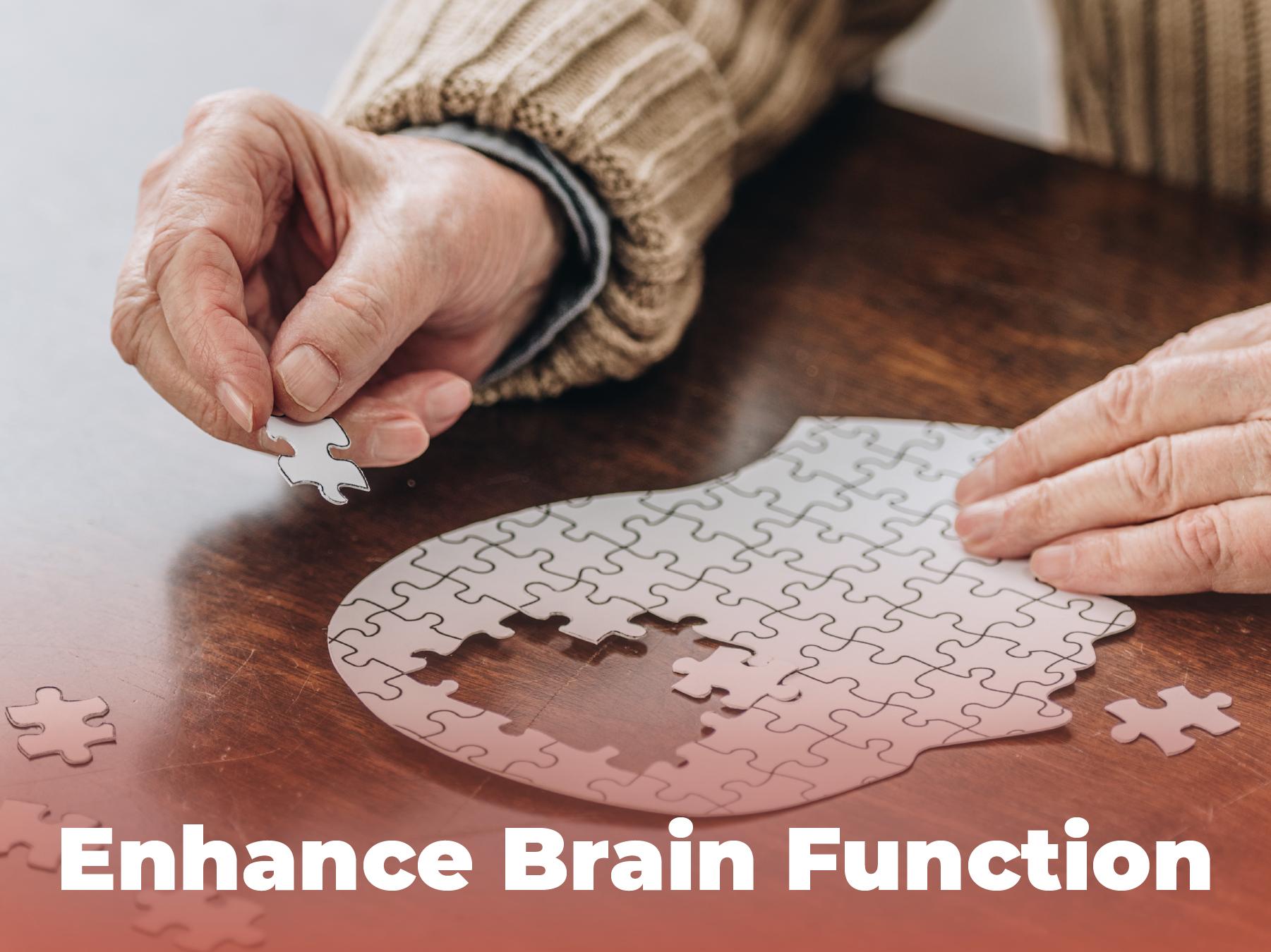 Nootropics Brain Memory and Focus Supplement by PUREHEALTH RESEARCH - Lions Mane, Shiitake, Chaga, Reishi Mushrooms Powder - Cognitive Health with Bacopa Monnieri and Gingko Biloba Extract, 1 Bottle Dietary Healthcare