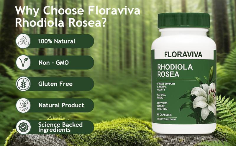 Natural Rhodiola Rosea Wellness Capsules 500mg - Natural Adaptogen Supplement for Stress Support, Mental Focus & Energy - (60 Capsules) -Non-GMO
