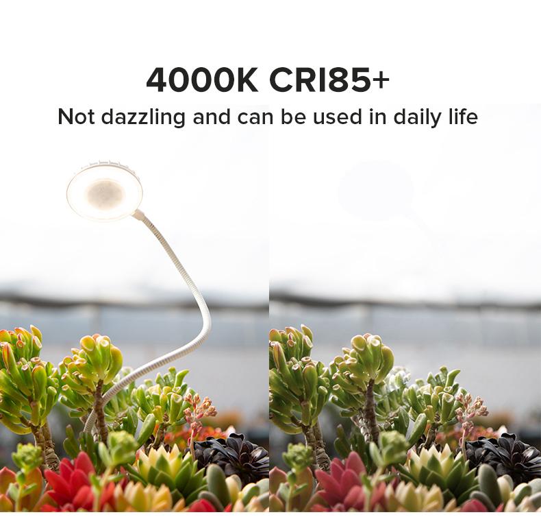 SANSI 5W/10W Grow Lights for Indoor Plants, Pot Clip LED Plant Lights for Indoor Growing, Full Spectrum, Plant Lamp with 5-Level Dimmable, Auto On Off 3 6 12 Hrs Timer for Succulents, White, 5V – Springtok Your Plants with Colorful Spring Vibes SANSI 5W/10W Grow Lights for Indoor Plants, Pot Clip LED Plant Lights for Indoor Growing, Full Spectrum, Plant Lamp with 5-Level Dimmable, Auto On Off 3 6 12 Hrs Timer for Succulents, White, 5V – Springtok Your Plants with Colorful Spring Vibes