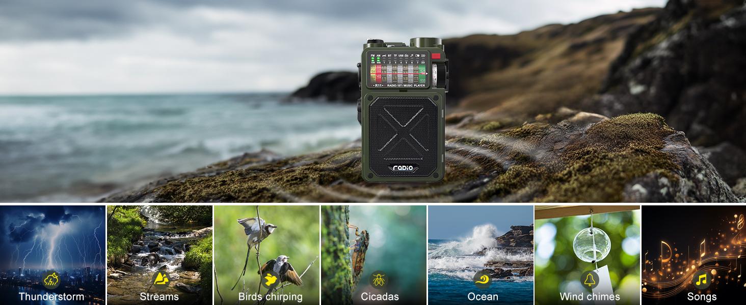 4000mAh NOAA Weather Emergency Radio, AM/FM/WB/SW, Bluetooth, Flashlight, SOS & Solar Power for Hurricane Preparedness & Outdoor Survival Springtok Audio Portable winter storm