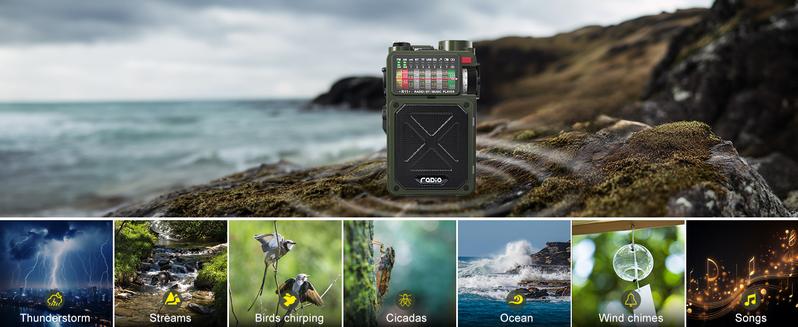 4000mAh NOAA Weather Emergency Radio, AM/FM/WB/SW, Bluetooth, Flashlight, SOS & Solar Power for Hurricane Preparedness & Outdoor Survival Springtok Audio Portable winter storm