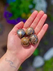 Stromatolite Polished Tumbles