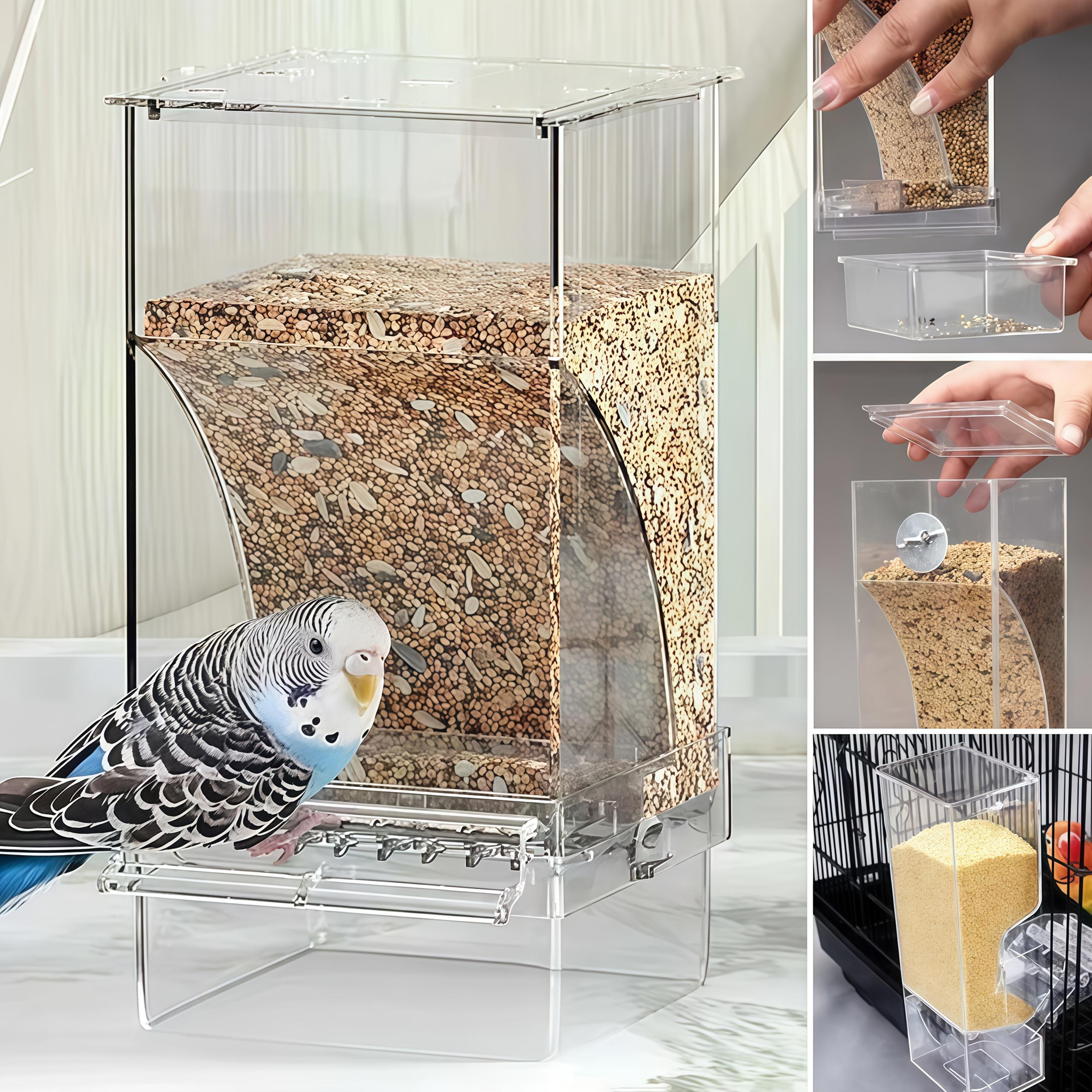 Auto-Clean Parrot Feeder Transparent No-Mess Seed Container with Perch Perfect for Small Medium Birds Lovebirds Parakeets