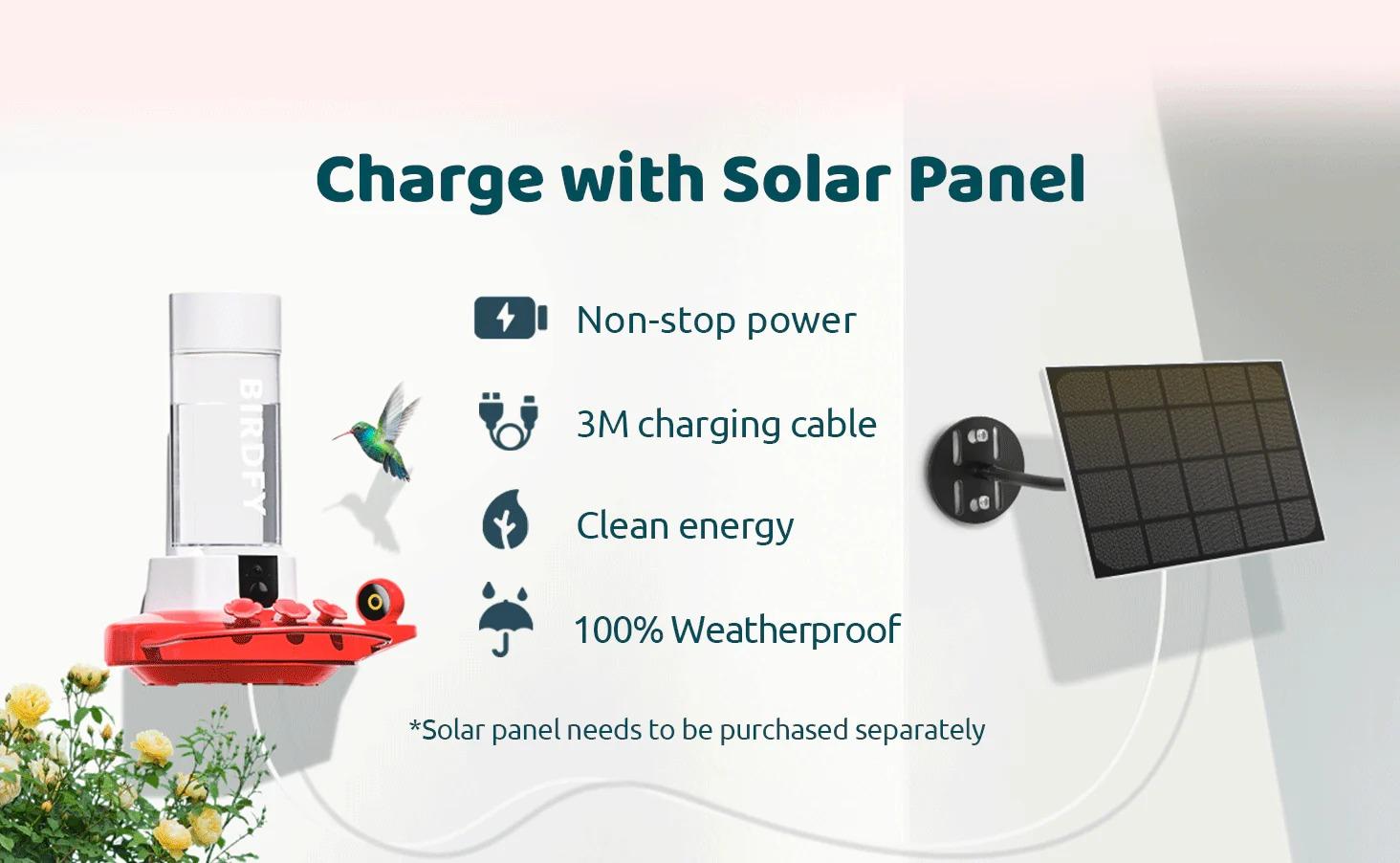 Birdfy Hum Feeder Duo with Dual Camera - 2K High-Resolution Cameras for Hummingbird Behavior and Appearance