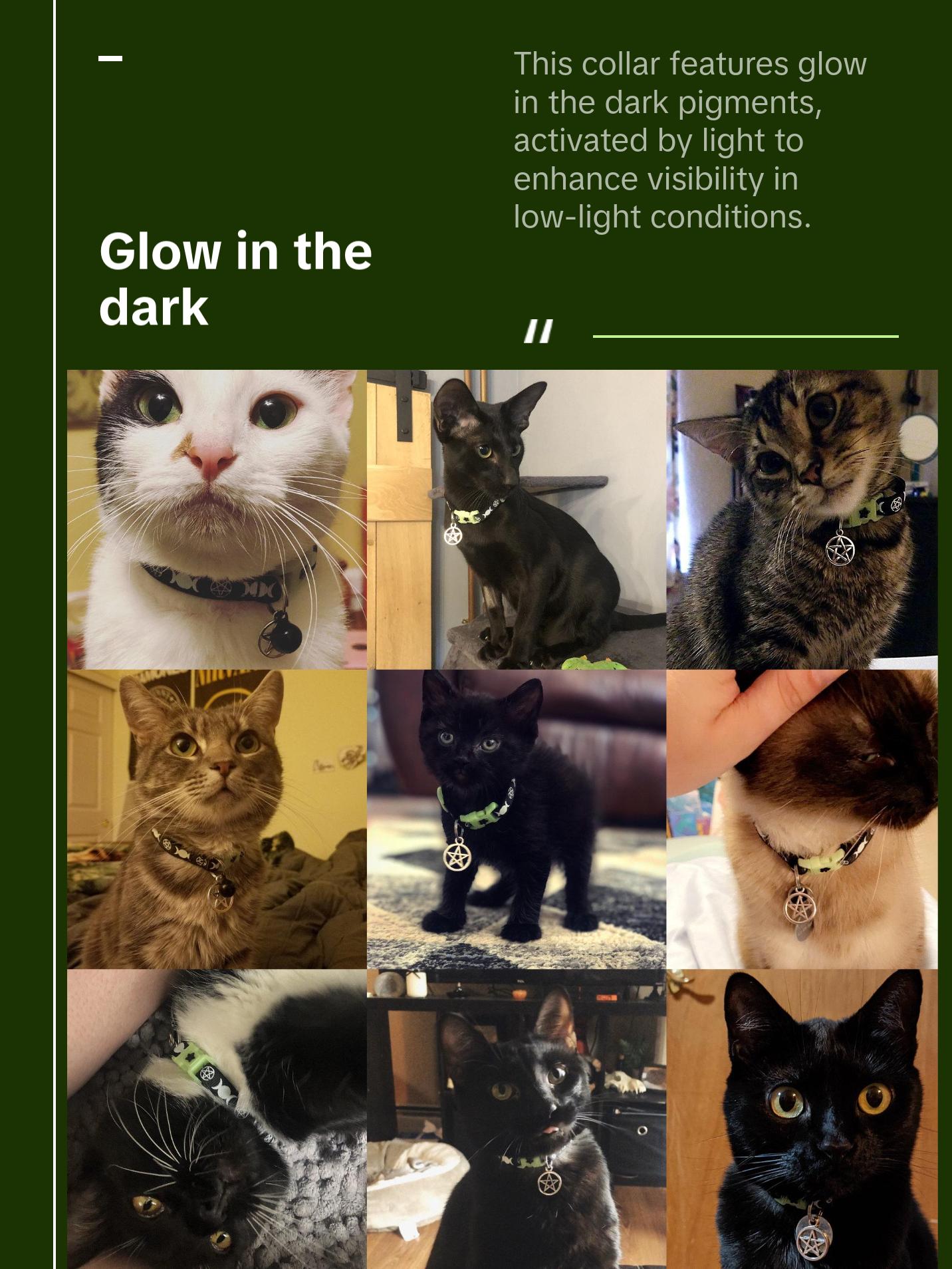 Witch's Familiar Breakaway Safety Cat Collar with Jingle Bell & Pentagram Charm by Pugs2Persians Wicca Pagan Pentacle Witch's Familiar Breakaway Safety Cat Collar with Jingle Bell & Pentagram Charm by Pugs2Persians Wicca Pagan Pentacle