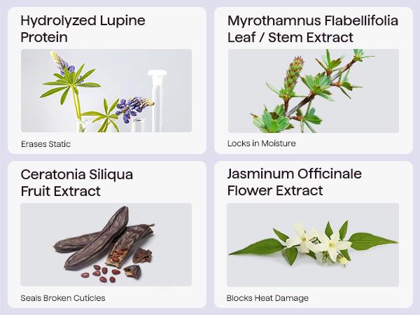 Wavytalk Steam Sesh Hair Straightener and Smooth Barrier Heat Protectant Spray Set