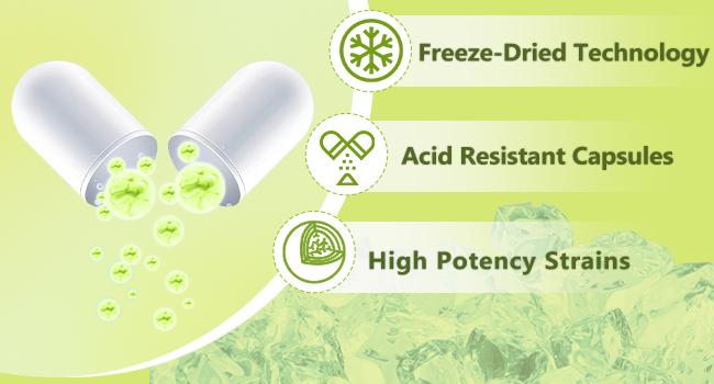 NATURE TARGET Prebiotic Fiber Supplement with 60 Billion Probiotics for Digestive Health - Prebiotics and Probiotics for Women & Men Regularity, Supports Occasional Constipation - 120 Veggie Capsules