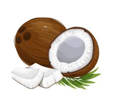 Replenish™ Conditioner – Hydrate & Grow