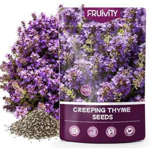 20000+pcs Purple Creeping Thyme Seed for Planting, Non-GMO Heirloom Perennial Ground Cover Flowers Seeds, Lawn Alternative, Fragrant Herb Seeds for Lawns & Paths Garden Backyard