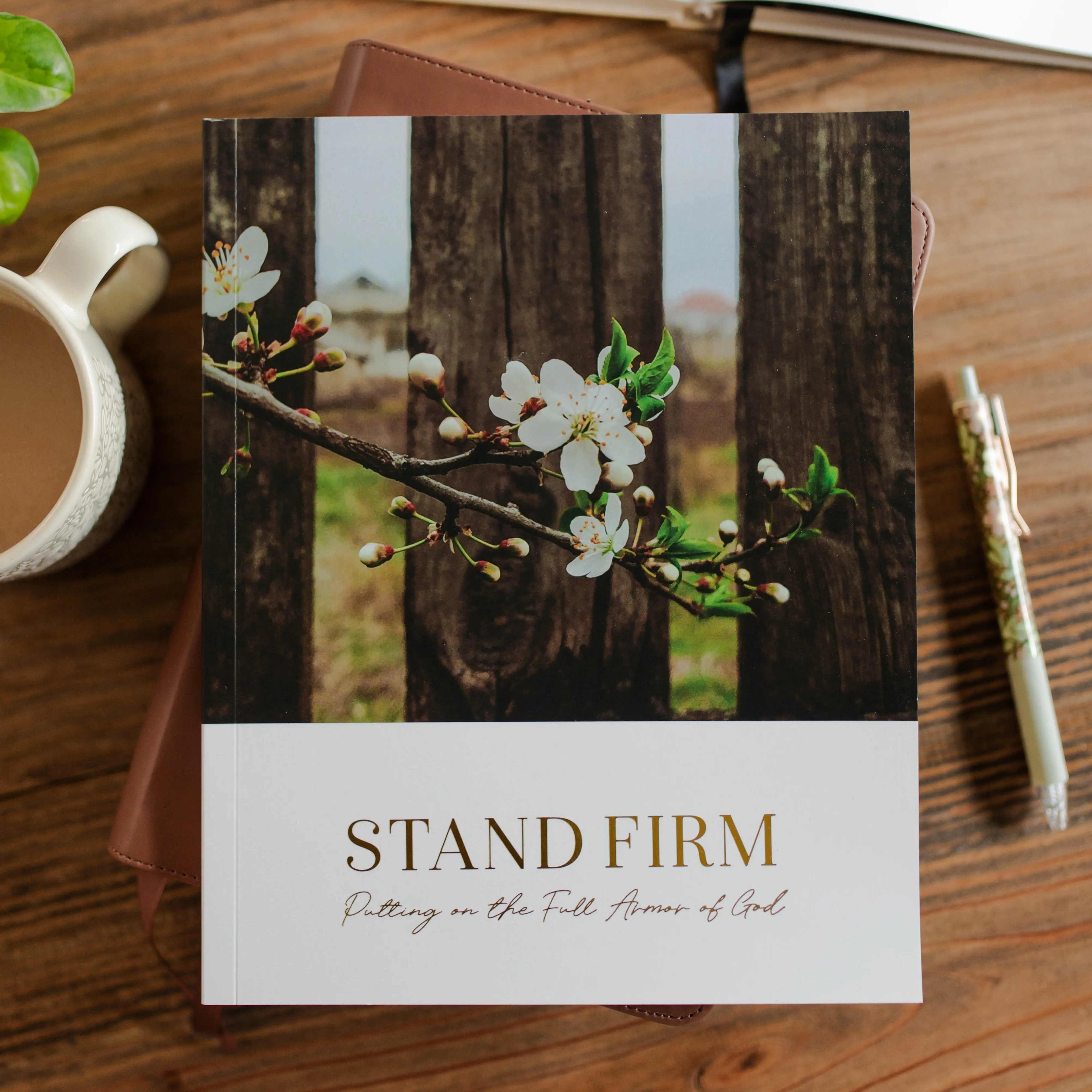 Stand Firm | Armor of God Bible Study