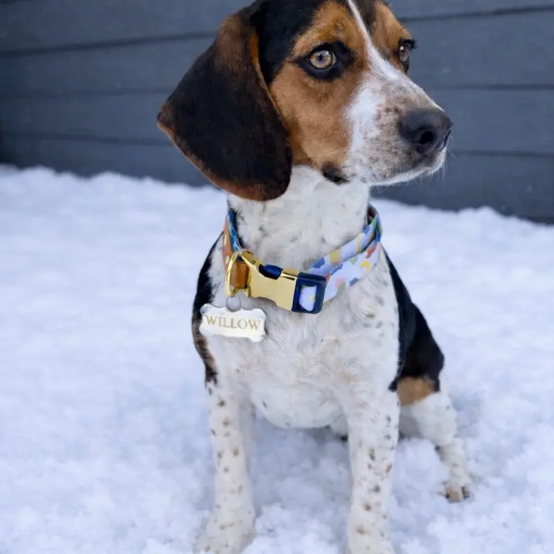 CUSTOM DOG TAGS