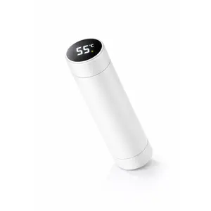 500ML Temperature Thermos Bottle