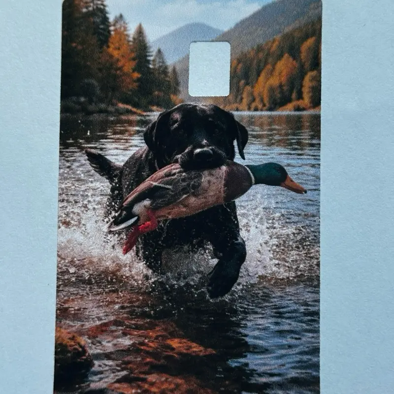 Waterproof 2x3 Animal Credit Card Skin - Hunting Theme, Realistic Black Lab with Duck Design, Protective Wallet Sleeve for DIY Scrapbooking & Stamping Hobbies