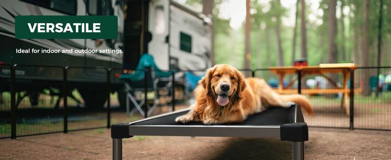 FXW TitanNest Chew Proof Elevated Dog Bed for Chewers, Dog Cot for Outdoor & Indoor, Padded dog bed dog beds FXW TitanNest Chew Proof Elevated Dog Bed for Chewers, Dog Cot for Outdoor & Indoor, Padded dog bed dog beds