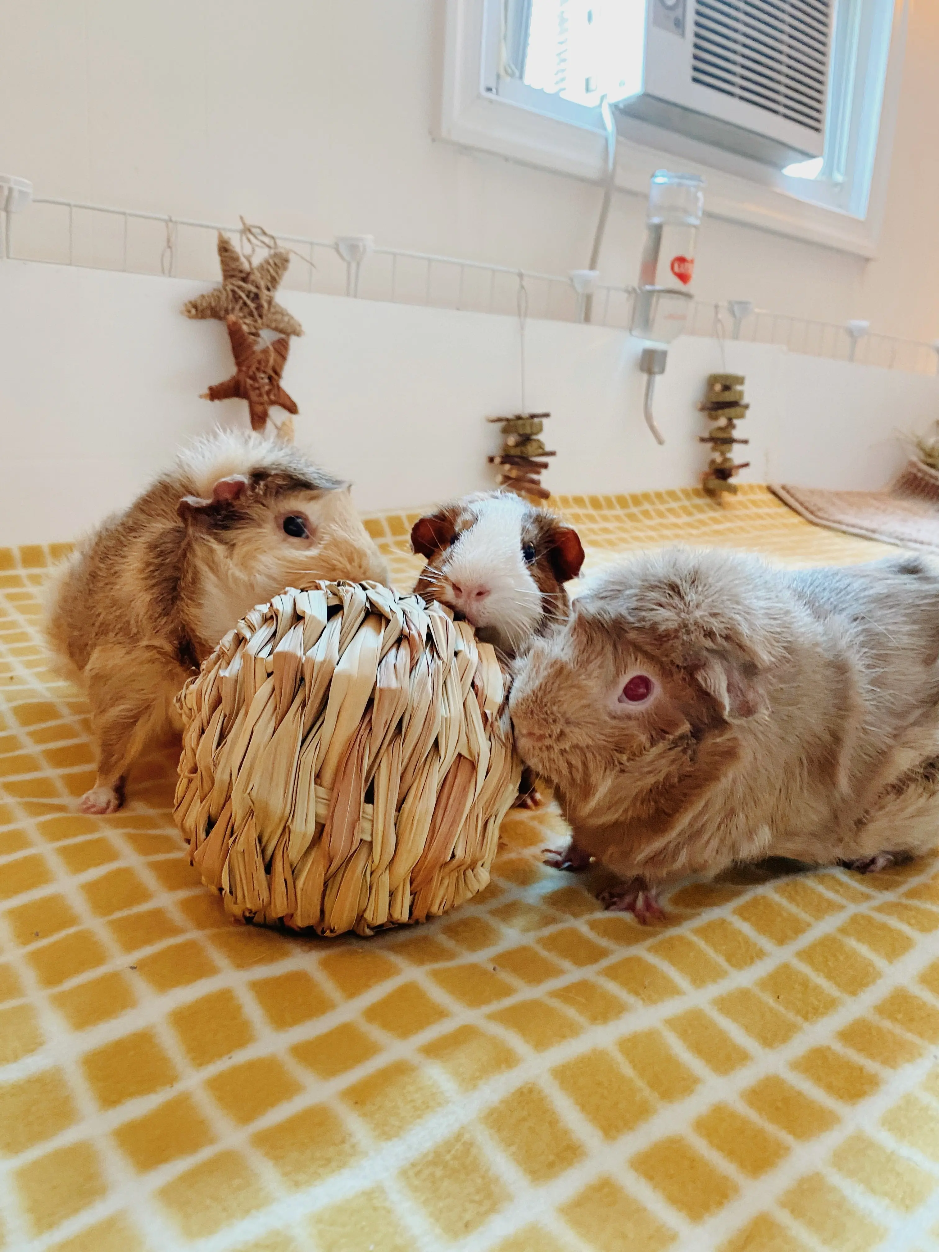 Jumbo Hay Balls