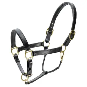 Jeffers Paris Padded Leather Horse Halter with Throat Snap – Adjustable Black Premium Triple Stitching