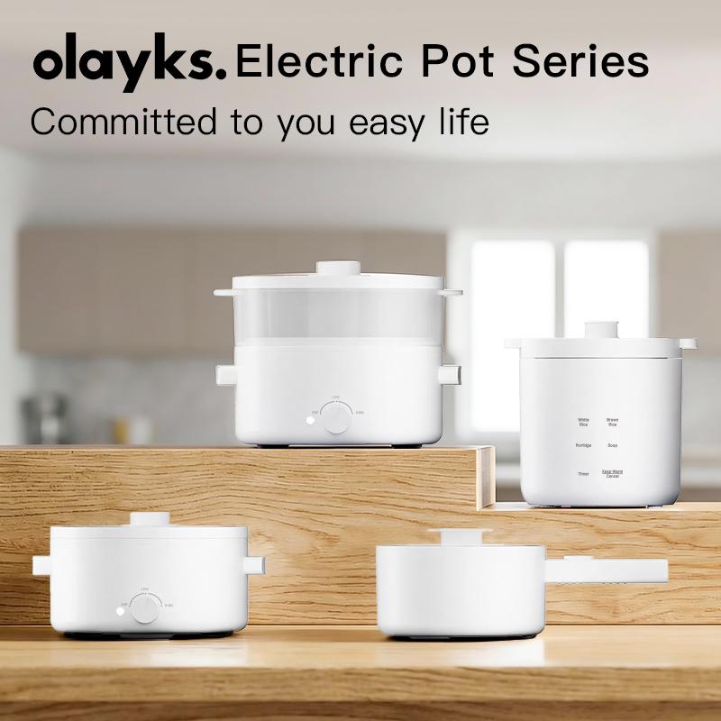 MALMES Mini Rice Cooker 2 Cup Uncooked, Small Electric Cooker, with 4 Cooking Functions, 24 Hour Preset and Heat Preservation, Anti Scald Carry Handle