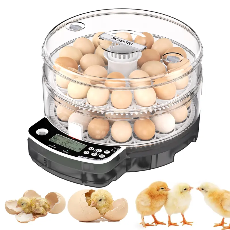 48-Egg Capacity Digital Egg Incubator - Automatic Turning, Digital Display, Auto Temp & Humidity Control, Candle Light View, Adjustable Key Settings Buttons for Home Incubation Projects, Agricultural Learning Environments
