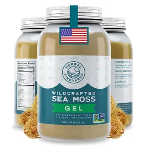 Herbal Vineyards Sea Moss Gel 16 ounce Jar Organic Non-GMO Verified Flavor Supports Wellness Superfood Nutritional