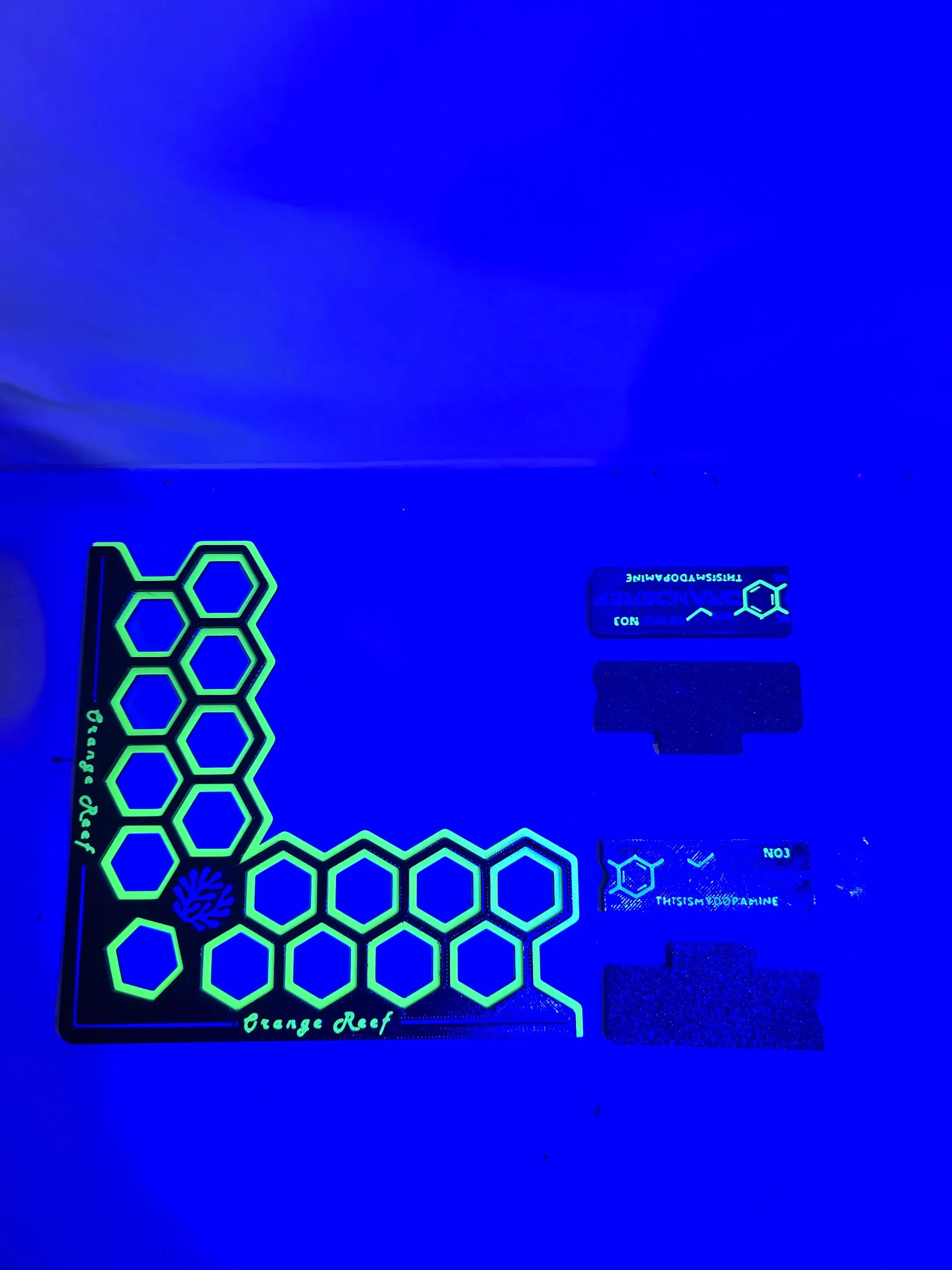 L-Shape Magnetic Fluorescent Coral Frag Rack, Glow-In-Dark Holder for SPS LPS Propagation in Saltwater Reef Aquariums