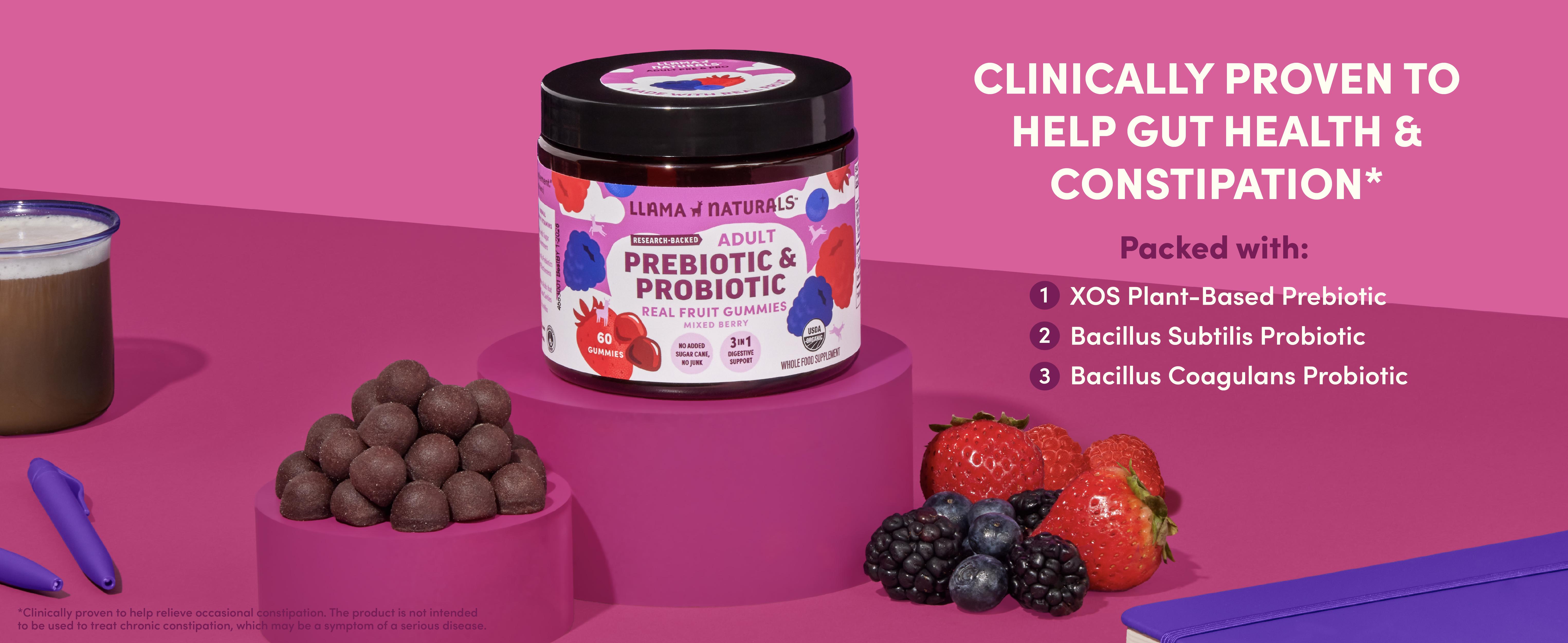 Llama Naturals Probiotics for Women and Men with Prebiotic Fiber, Vegan, Organic, Probiotic Gummies for Gut Health Support, Adults Real Fruit Gummy Vitamins, No Added Sugar Cane, Mixed Berry, 60 Ct